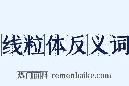 线粒体反义词是什么意思的图片